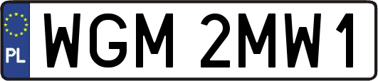 WGM2MW1