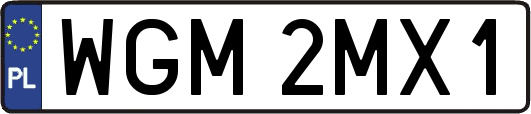 WGM2MX1