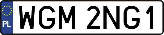 WGM2NG1