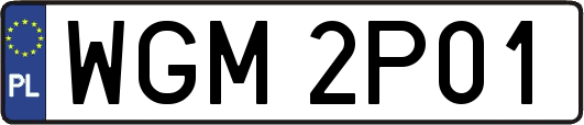 WGM2P01