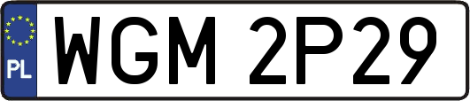 WGM2P29