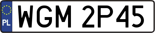 WGM2P45