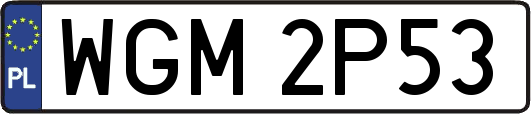 WGM2P53