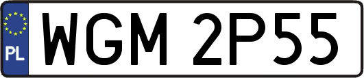 WGM2P55