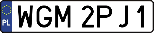 WGM2PJ1