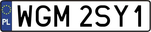 WGM2SY1