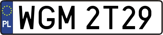 WGM2T29