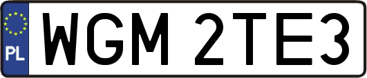 WGM2TE3