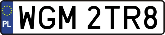 WGM2TR8