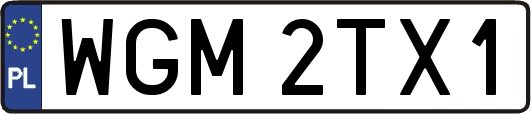 WGM2TX1