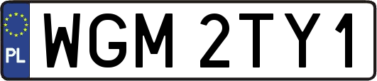 WGM2TY1