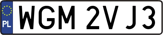 WGM2VJ3