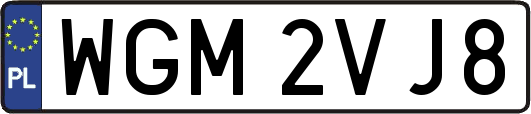 WGM2VJ8