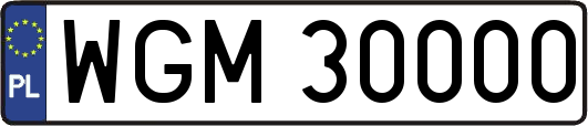 WGM30000