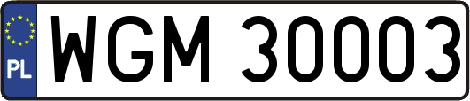 WGM30003