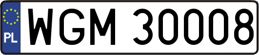WGM30008