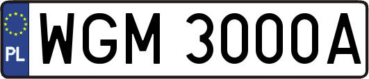 WGM3000A