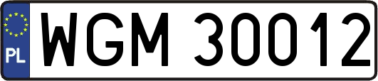 WGM30012
