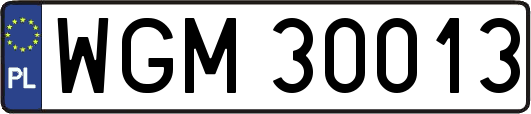 WGM30013