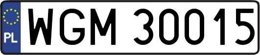 WGM30015