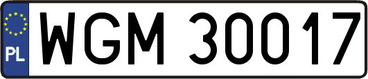 WGM30017
