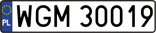 WGM30019