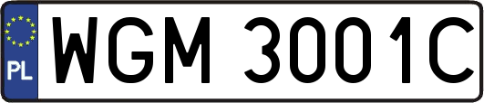 WGM3001C