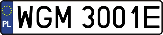 WGM3001E
