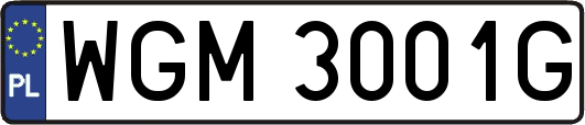WGM3001G