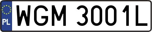 WGM3001L