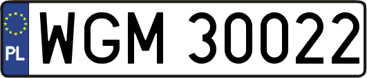 WGM30022