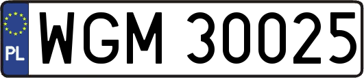 WGM30025
