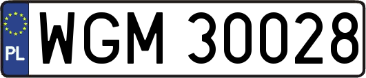 WGM30028