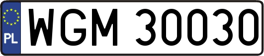 WGM30030