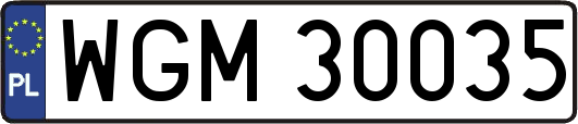 WGM30035