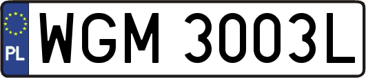 WGM3003L
