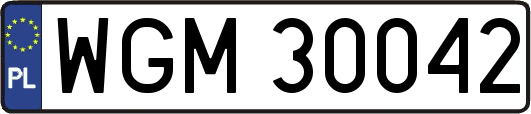 WGM30042