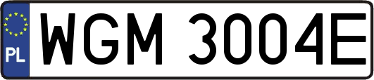 WGM3004E