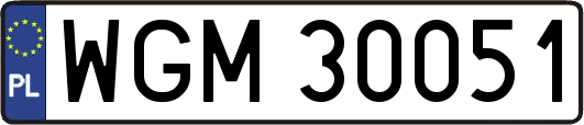 WGM30051