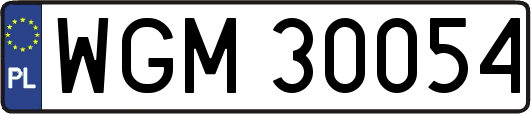 WGM30054