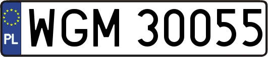 WGM30055