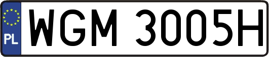 WGM3005H