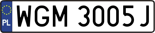 WGM3005J