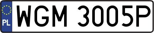 WGM3005P
