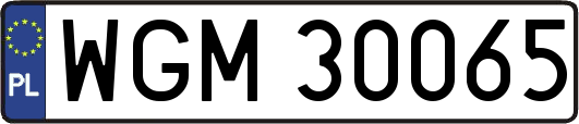 WGM30065