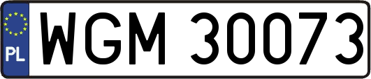 WGM30073