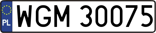 WGM30075