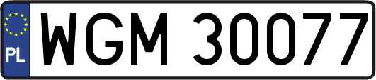 WGM30077