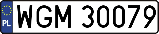 WGM30079