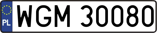WGM30080